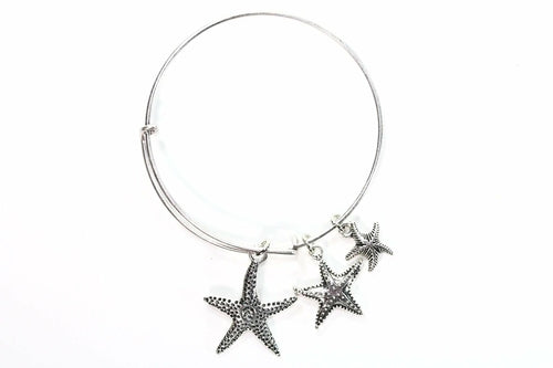 Silver Tone Charm Bangle