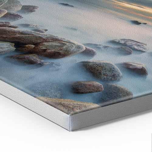 Trees In The Fog Modern Abstract Pop Art Canvas Print