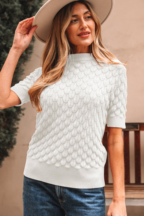 Fish Scale Textured Knit Short Sleeve Sweater