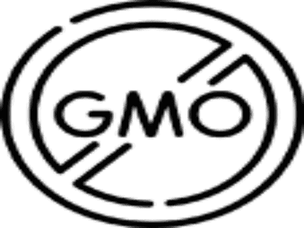 Organic Shea Butter Infused Body Lotion - 7 Fragrances - for Men