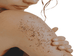 Exfoliating Organic Anti-Aging Body Scrub Vanilla Musk Fragrance