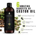 100% Pure Cold Pressed Castor Oil 16 Oz