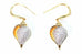 Conch Shell Earrings