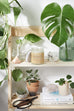Organic Magnesium Lotion / Magnesium / Magnesium Cream / Magnesium