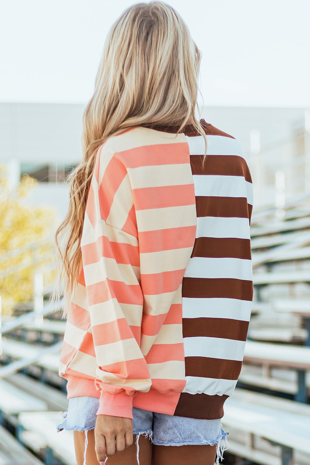 Brown Stripe Color Block Drop Shoulder Pullover Sweatshirt - Essential Retail Store