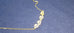 LuckyClover- Four Leaf Heart Shape Necklace