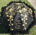 Bridal umbrella lace/fabric parasol