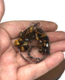 Wire Wrapped Tree of Life Pendant w/ Tiger Eye Gemstones